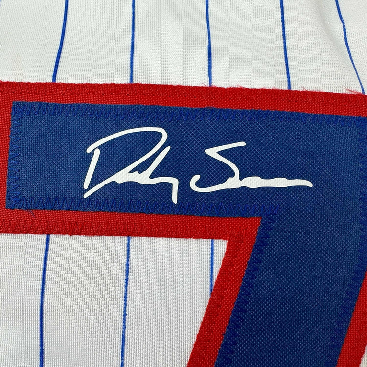 Framed Facsimile Autographed Dansby Swanson 35x39 Chicago Pinstripe Reprint Laser Auto Baseball Jersey