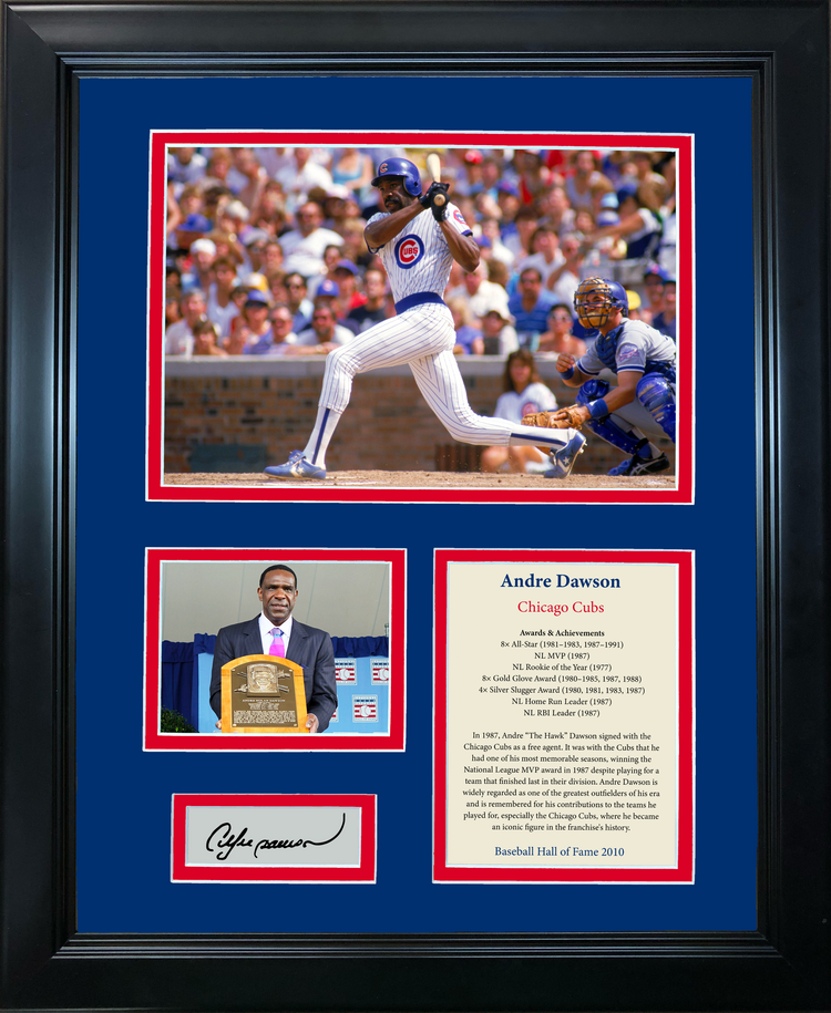 Framed Andre Dawson Hall of Fame Facsimile Laser Engraved Signature Auto Baseball 11"x14"Photo Sig Collage
