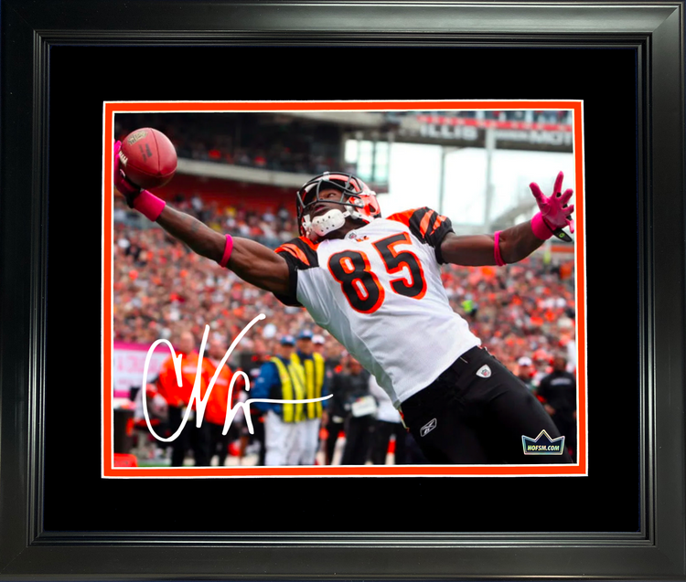 Framed Chad Johnson Ochocinco Cincinnati Bengals Facsimile Laser Engraved Signature Auto 11"x14" Football Photo HOFSM Holo