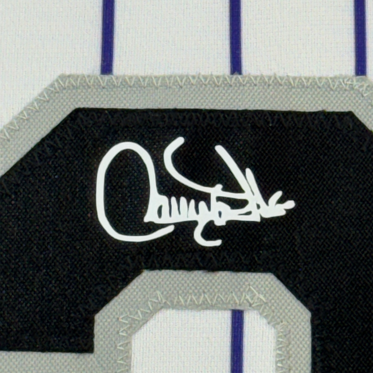 Framed Facsimile Autographed Larry Walker 35x39 Colorado Pinstripe Reprint Laser Auto Baseball Jersey