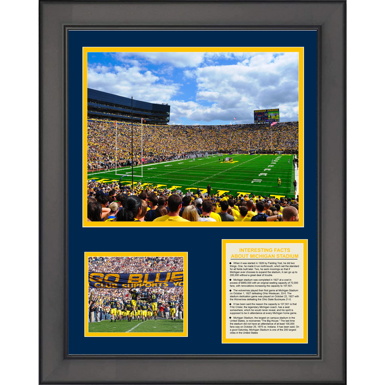 Framed Michigan Wolverines The Big House Stadium & Team History 11"x14" College Football Three Photo Collage
