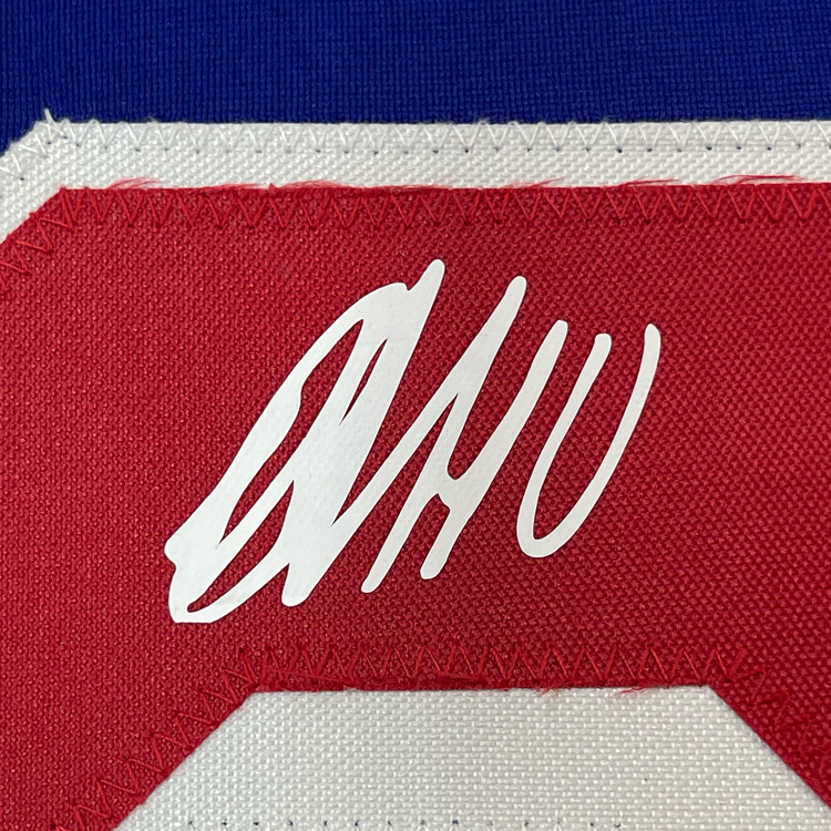 Framed Facsimile Autographed Artemi Panarin 35x39 New York Blue Reprint Laser Auto Hockey Jersey