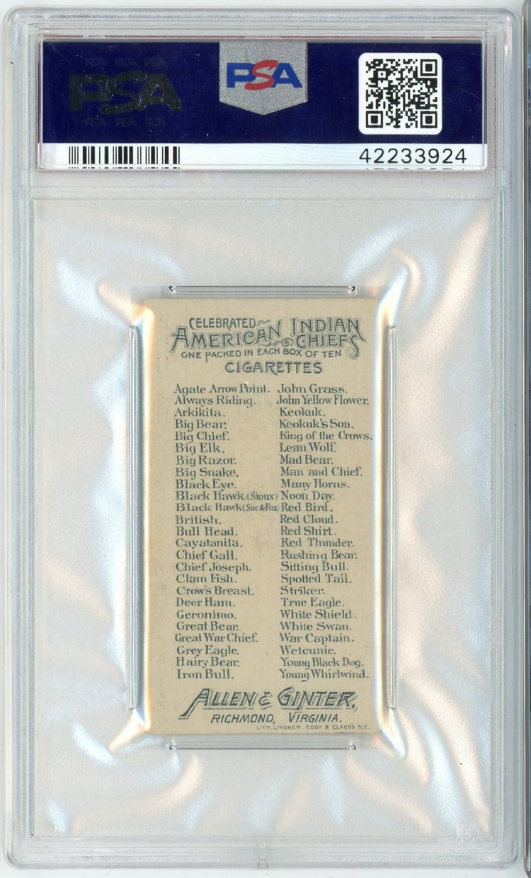 Graded 1888 Allen & Ginter American Indian Chiefs N2 Geronimo Baseball Tobacco Card PSA 5 Excellent
