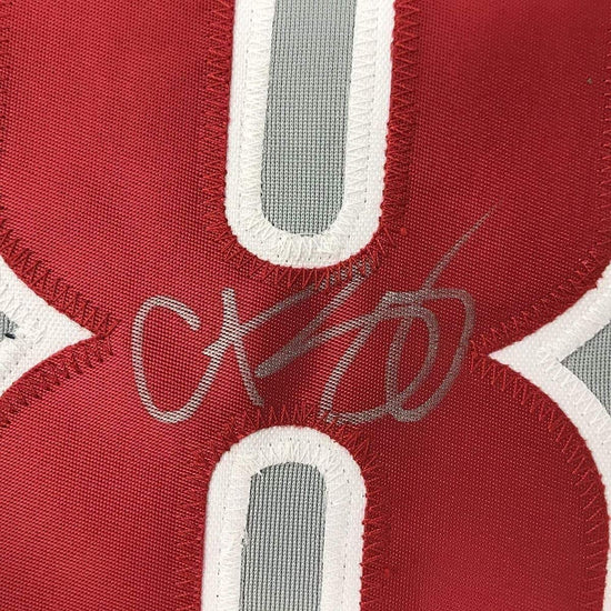 Framed Autographed/Signed Curt Schilling 33x42 Philadelphia Grey Baseball Jersey JSA COA