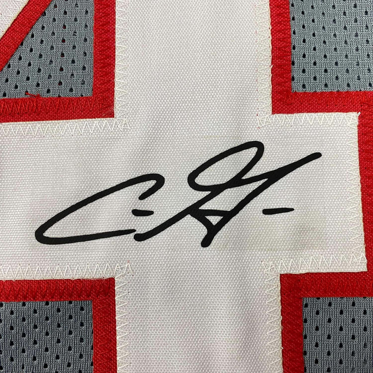 Framed Facsimile Autographed Chris Godwin 35x39 Tampa Bay Grey Pewter Reprint Laser Auto Football Jersey