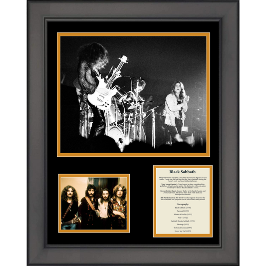 Framed Band Members & Discography 11"x14" Music Three Photo Collage