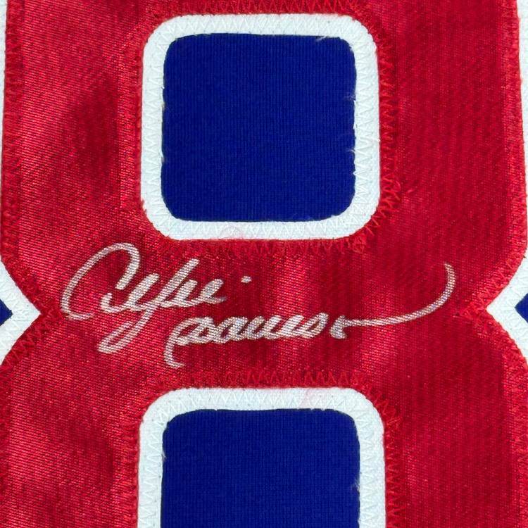 Framed Autographed/Signed Andre Dawson 35x39 Chicago Blue Baseball Jersey JSA COA