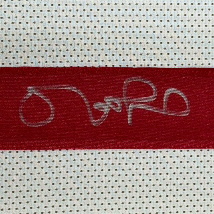 Framed Autographed/Signed Matt Leinart 35x39 USC White Football Jersey JSA COA