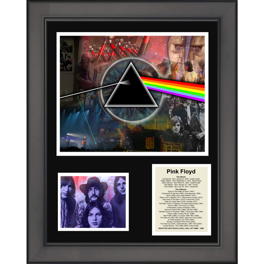 Framed Band Discography Rock & Roll Hall of Fame 11"x14"Music Three Photo Collage