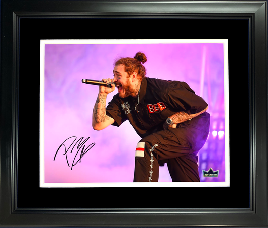 Framed Singer Facsimile Laser Engraved Signature Auto 11"x14"Music Photo HOFSM Holo