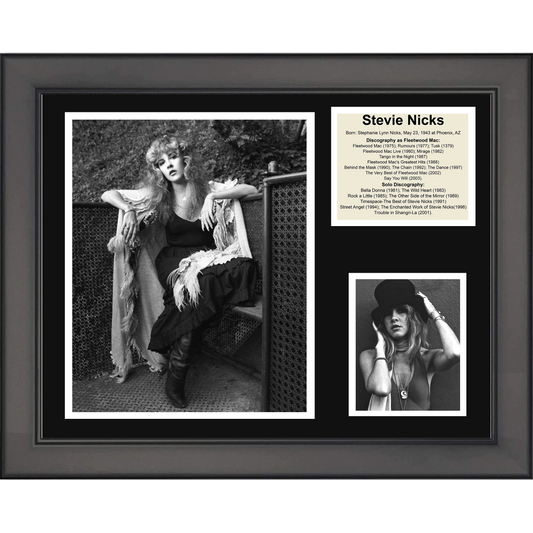 Framed Stevie Steve Nicks Discography 11"x14" Music Three Photo Collage
