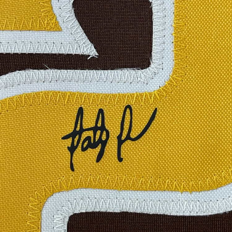 Framed Facsimile Autographed Fernando Tatis Jr. 35x39 San Diego Brown Reprint Laser Auto Baseball Jersey