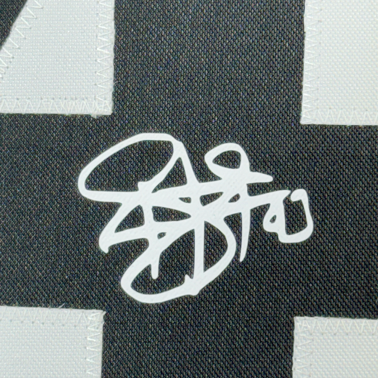 Framed Facsimile Autographed Troy Polamalu 35x39 Pittsburgh Bumble Bee Reprint Laser Auto Football